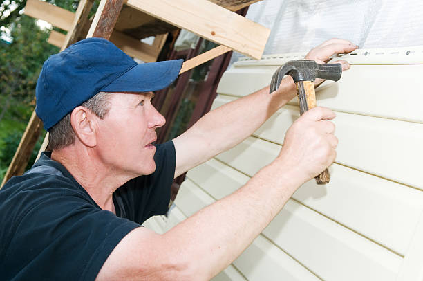Best Siding Painting and Refinishing  in Winfield, WV